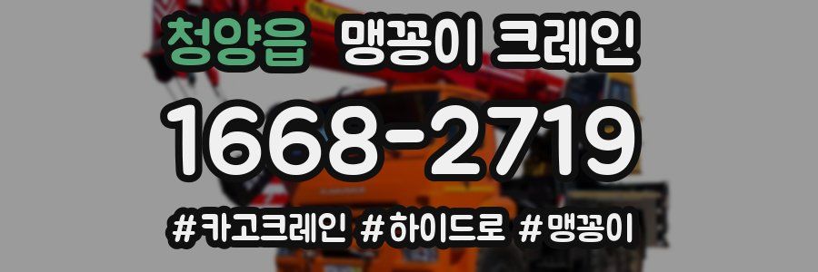 청양읍 맹꽁이 크레인