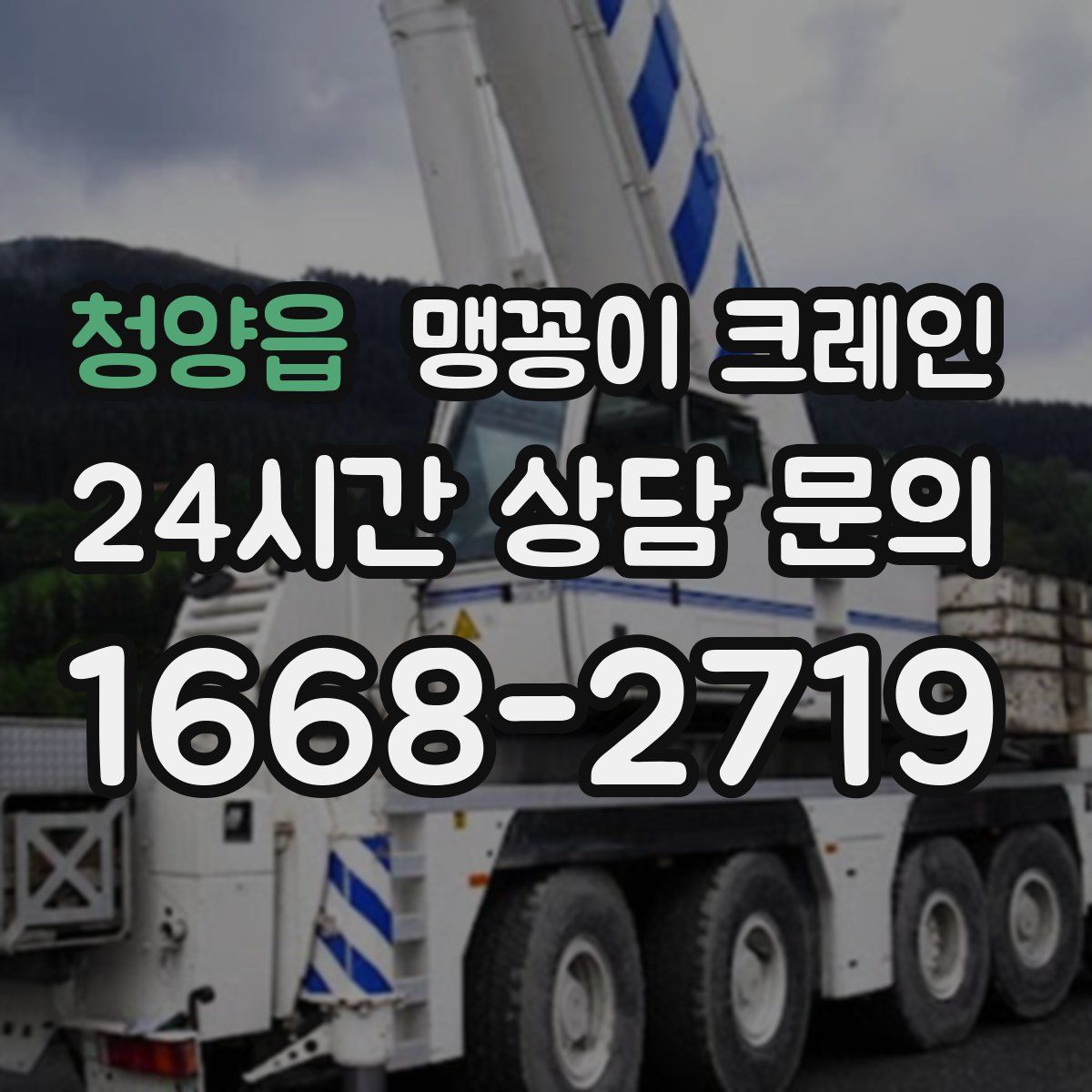 청양읍 맹꽁이 크레인