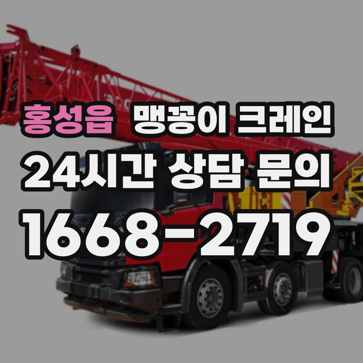 홍성읍 맹꽁이 크레인