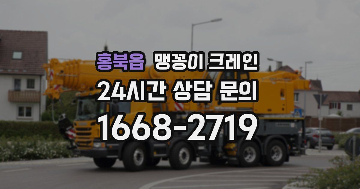 홍북읍 맹꽁이 크레인