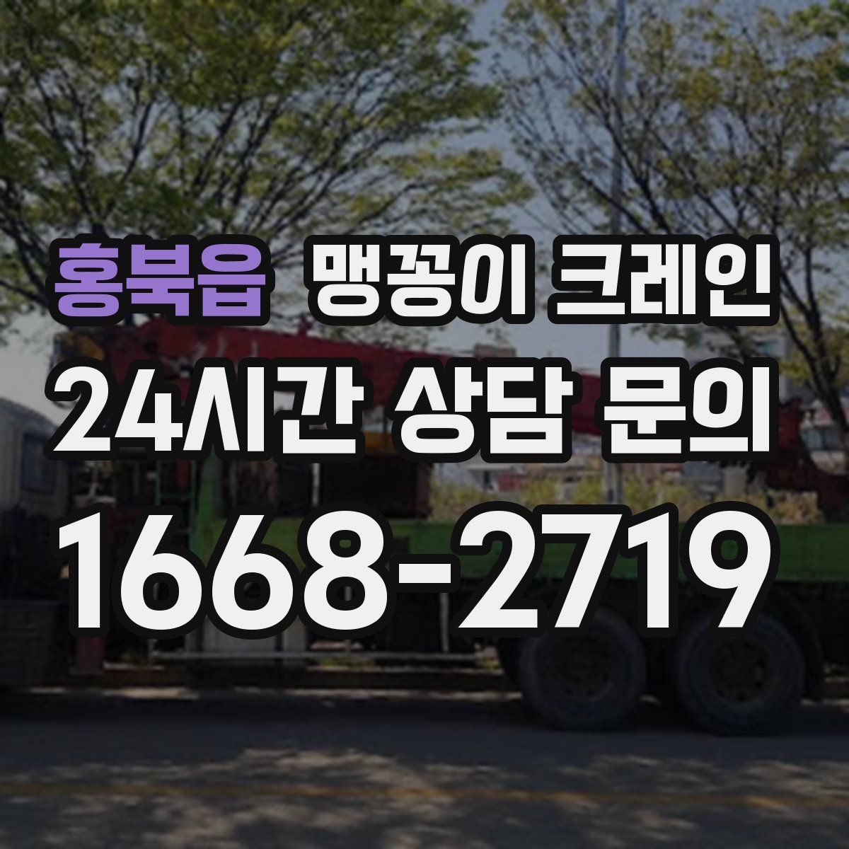 홍북읍 맹꽁이 크레인