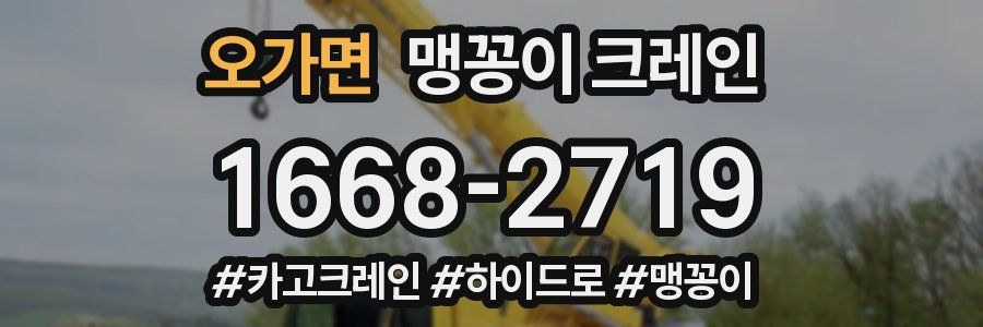 오가면 맹꽁이 크레인