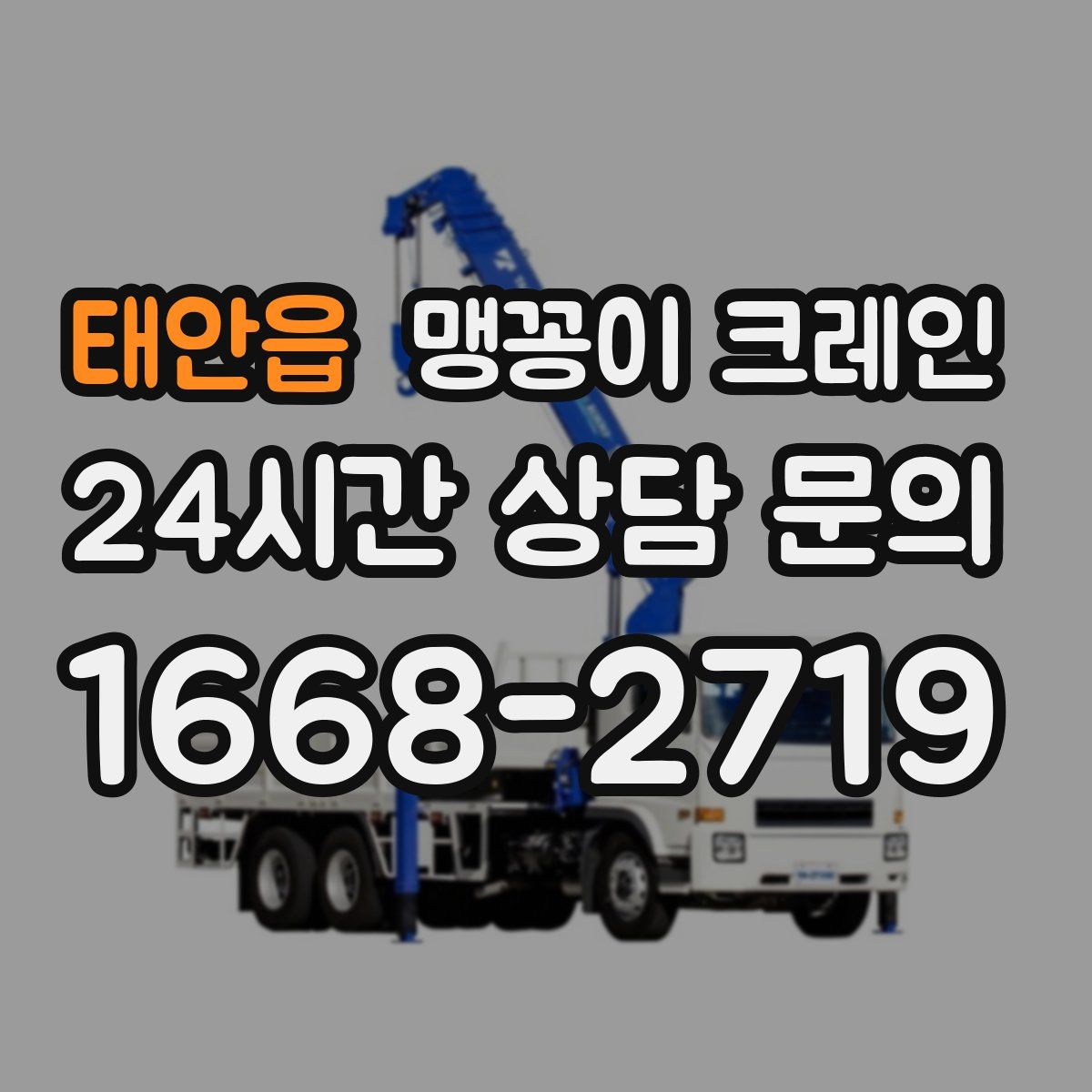 태안읍 맹꽁이 크레인