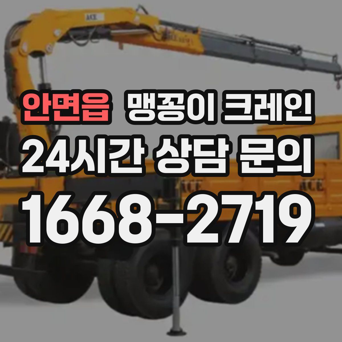 안면읍 맹꽁이 크레인