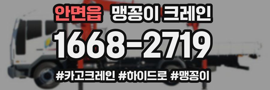 안면읍 맹꽁이 크레인
