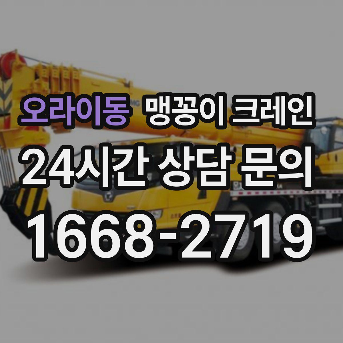 오라이동 맹꽁이 크레인