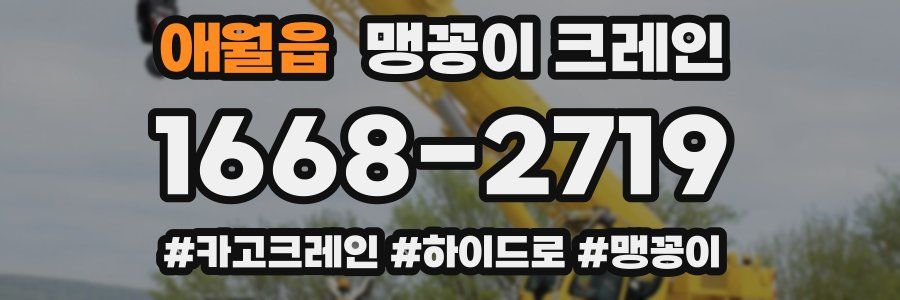 애월읍 맹꽁이 크레인