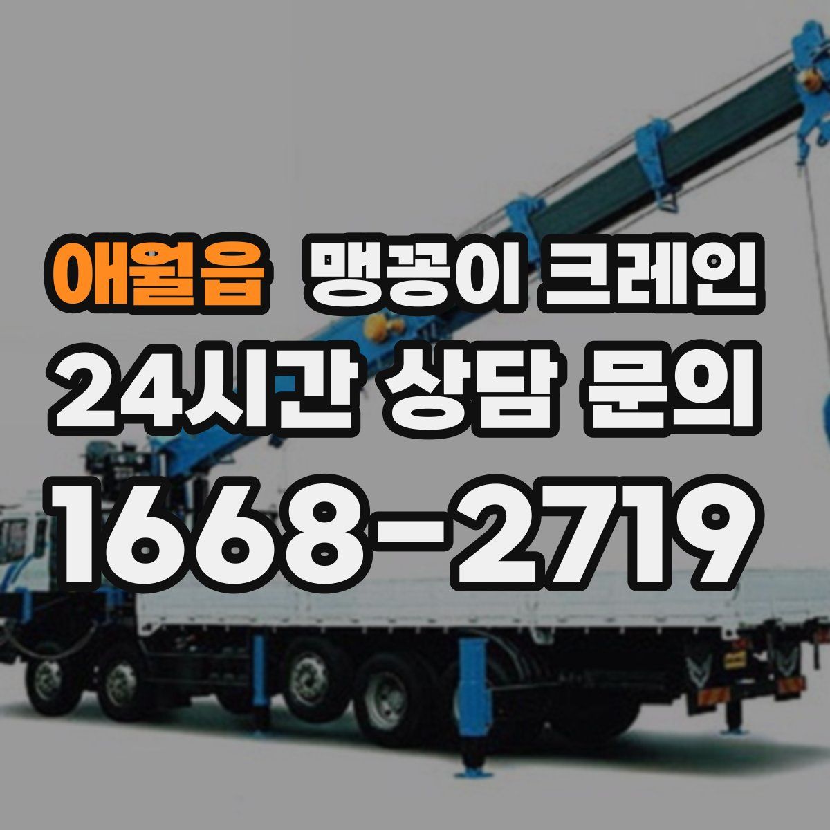 애월읍 맹꽁이 크레인