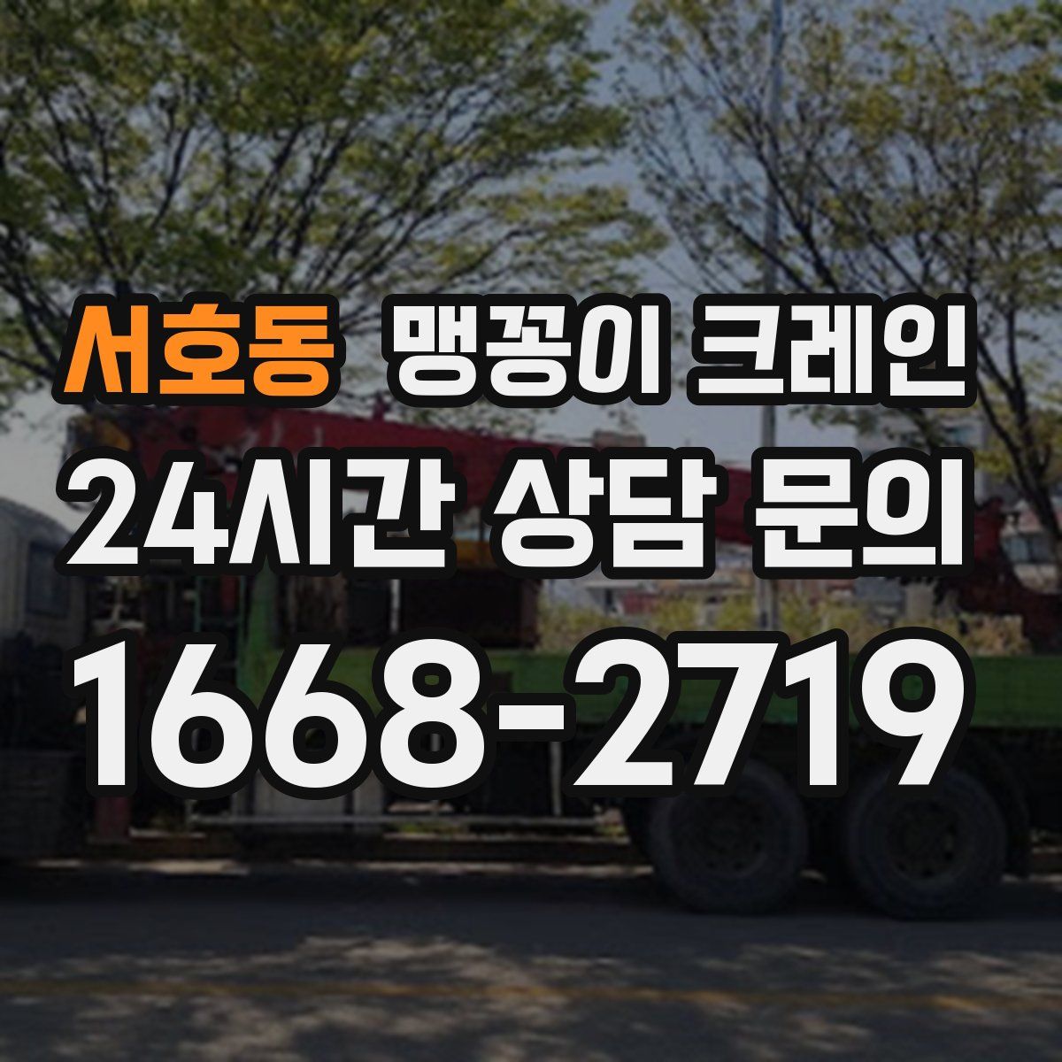 서호동 맹꽁이 크레인