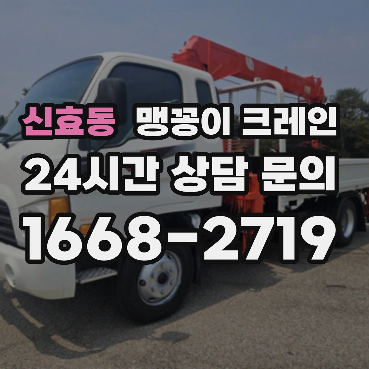 신효동 맹꽁이 크레인