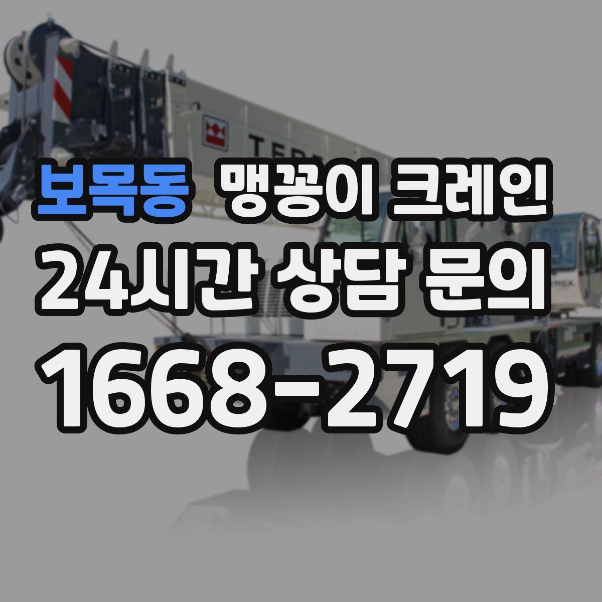 보목동 맹꽁이 크레인