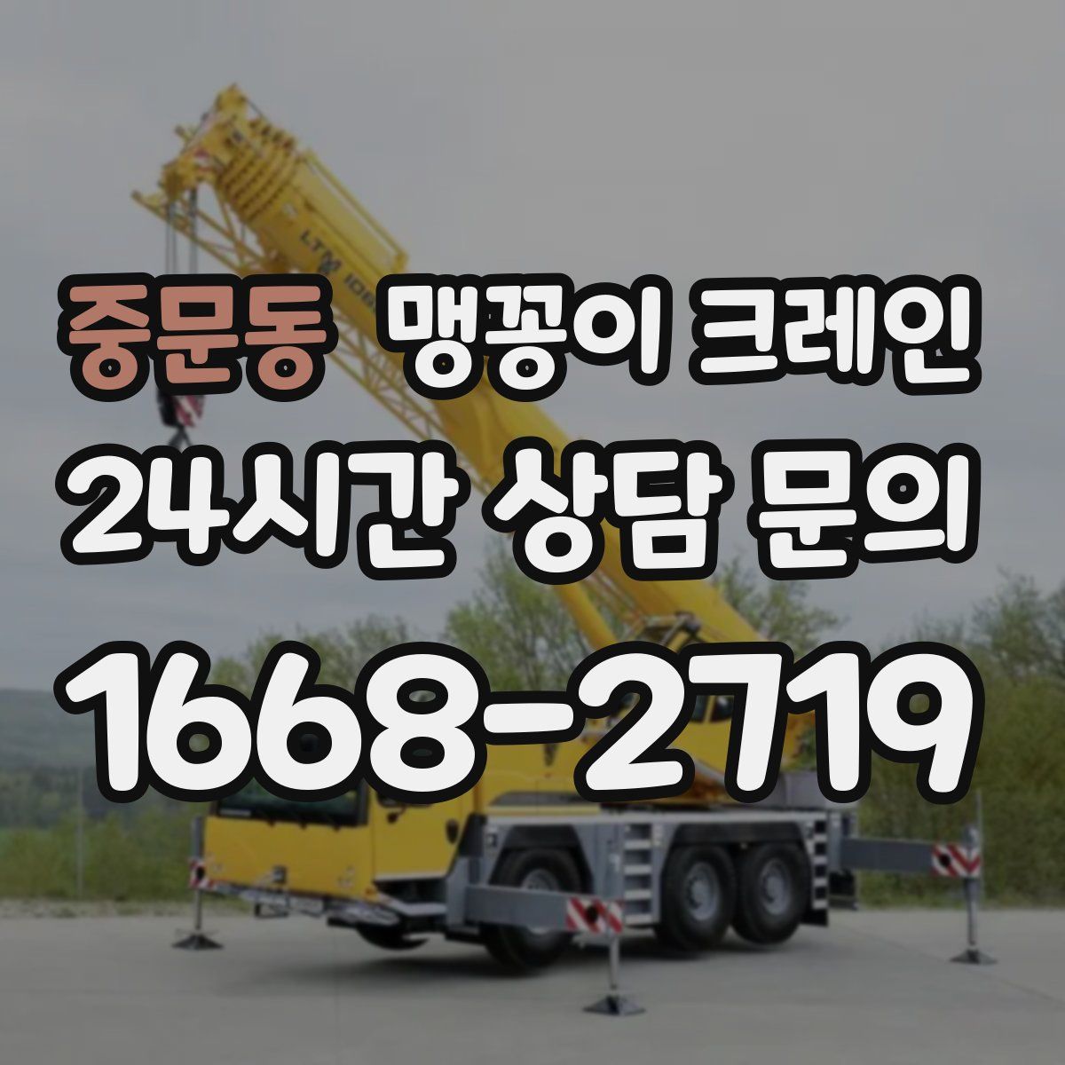 중문동 맹꽁이 크레인
