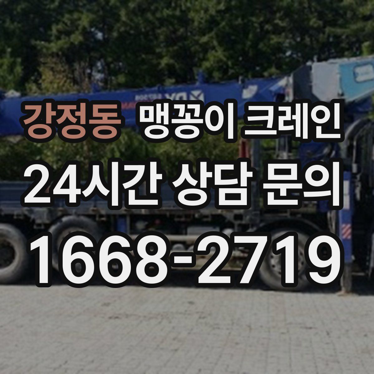 강정동 맹꽁이 크레인