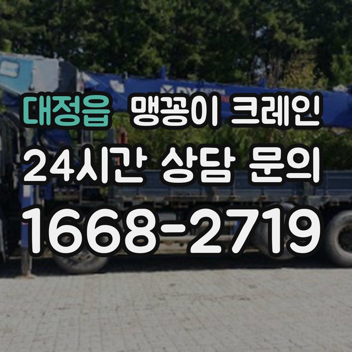 대정읍 맹꽁이 크레인