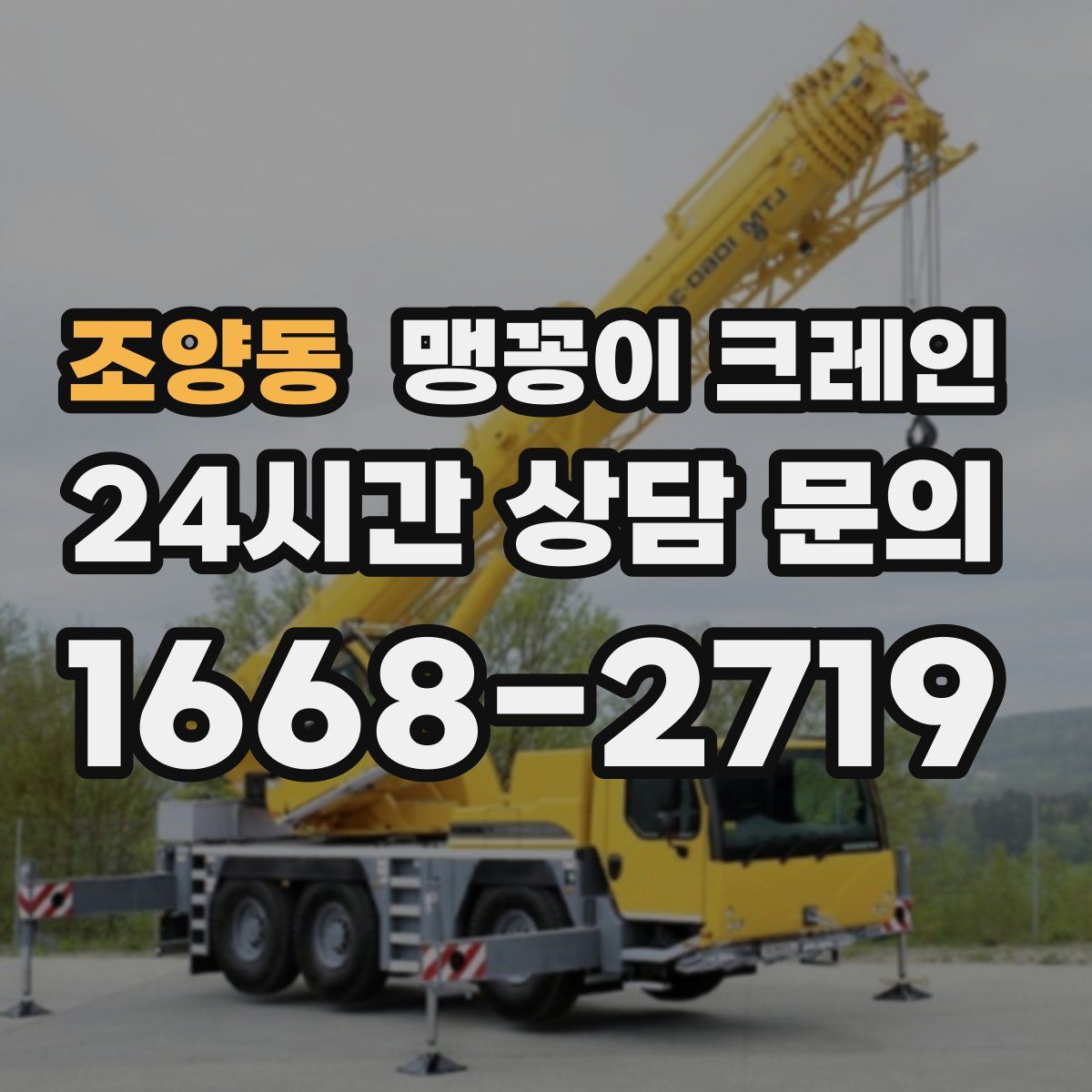 조양동 맹꽁이 크레인