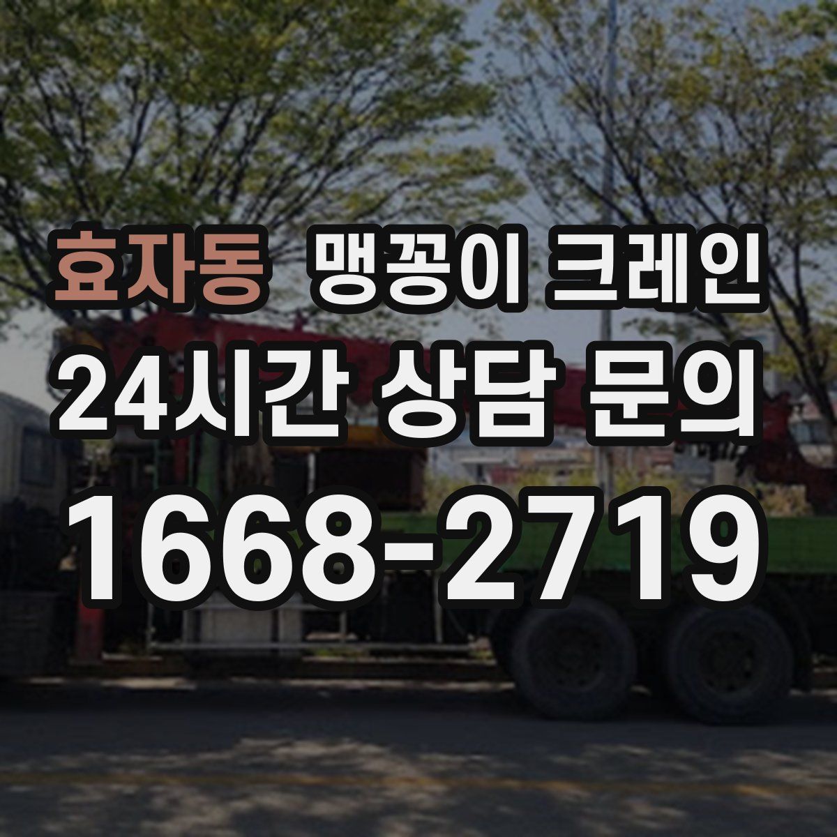 효자동 맹꽁이 크레인