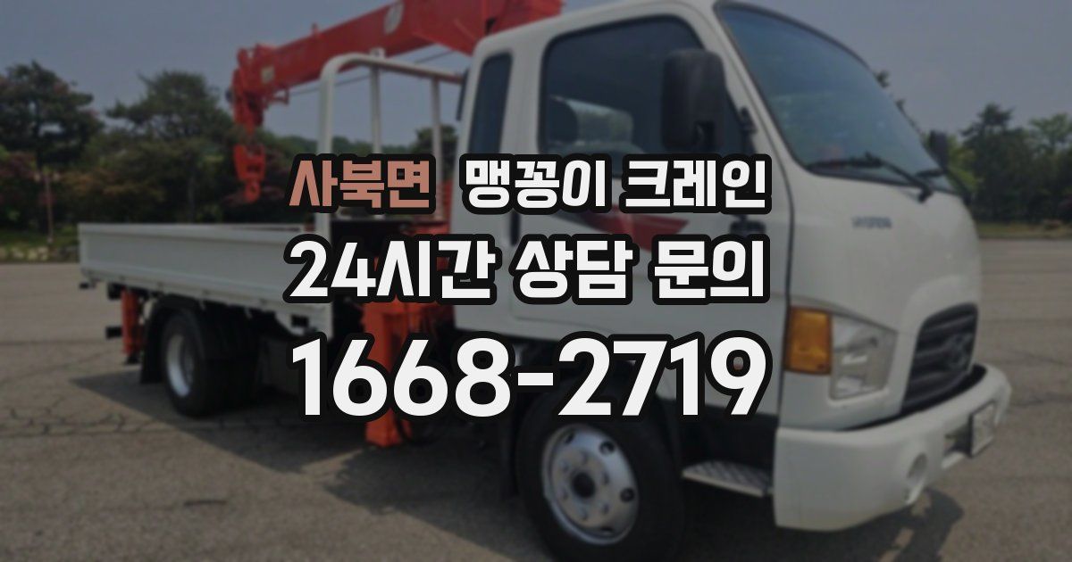 사북면 맹꽁이 크레인