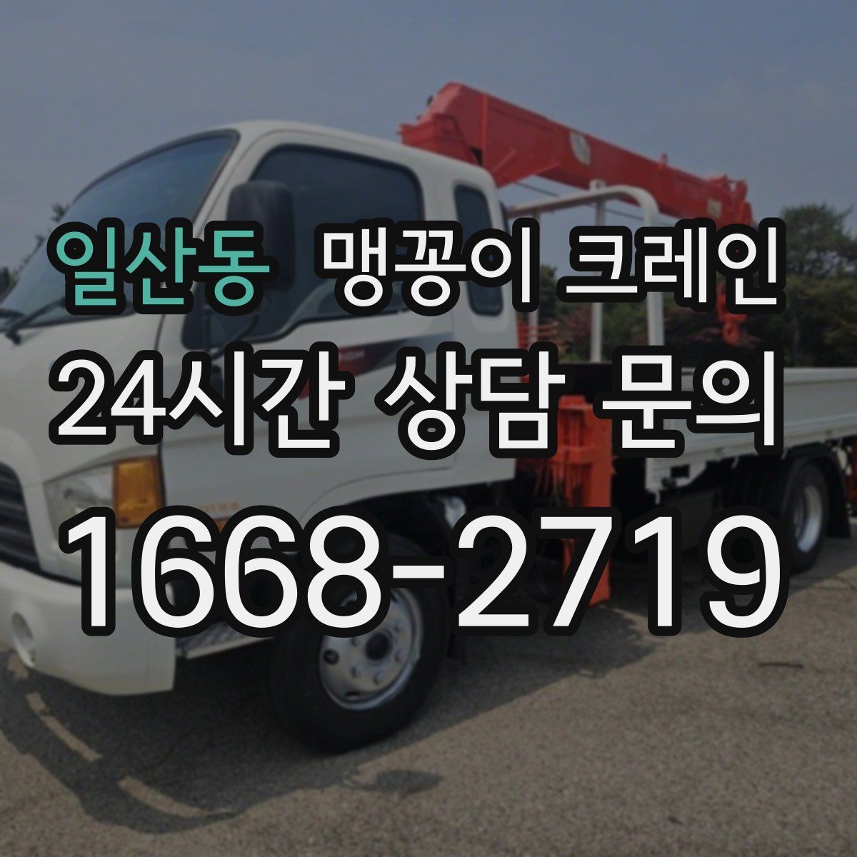 일산동 맹꽁이 크레인