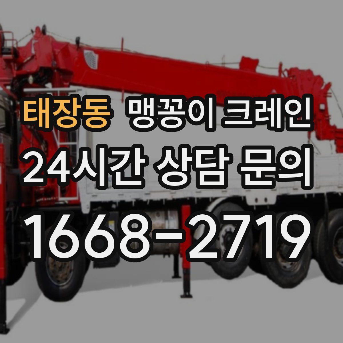 태장동 맹꽁이 크레인