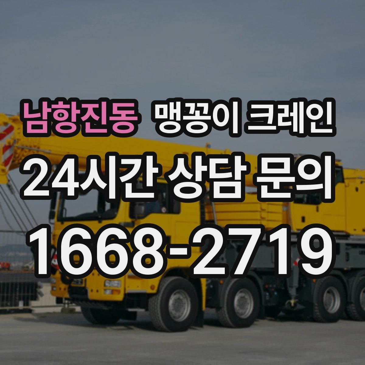 남항진동 맹꽁이 크레인