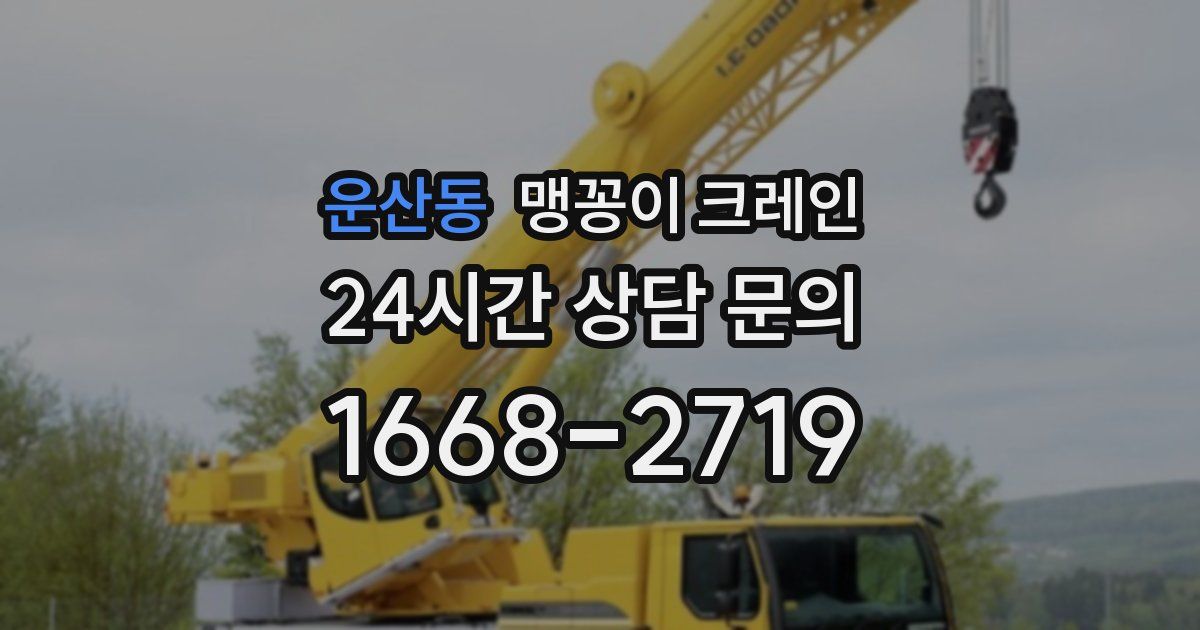 운산동 맹꽁이 크레인