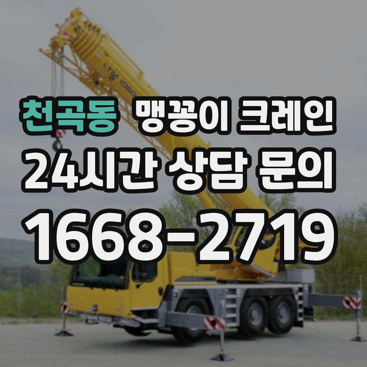 천곡동 맹꽁이 크레인