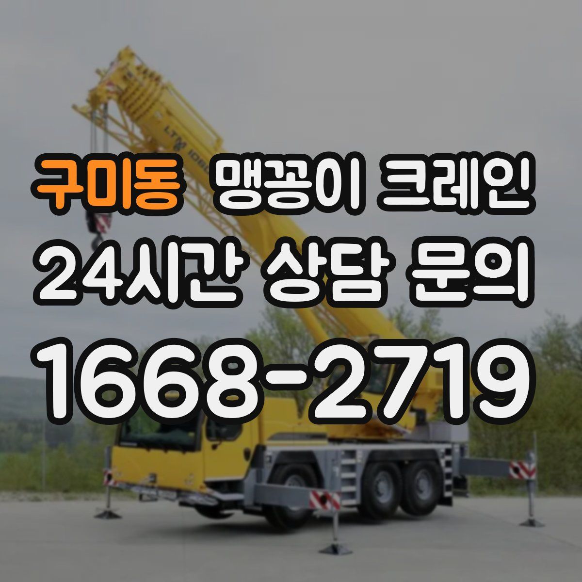 구미동 맹꽁이 크레인