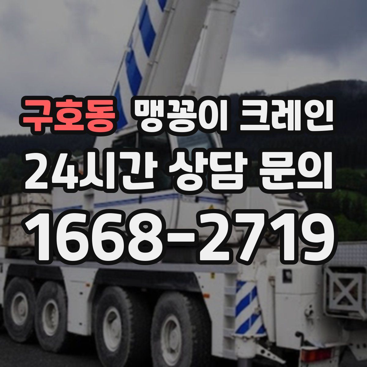 구호동 맹꽁이 크레인
