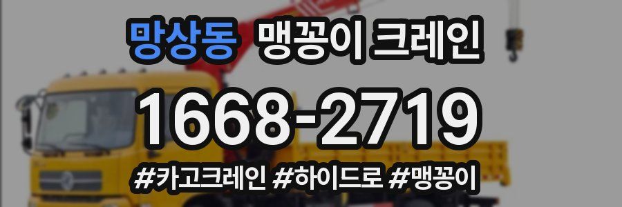 망상동 맹꽁이 크레인