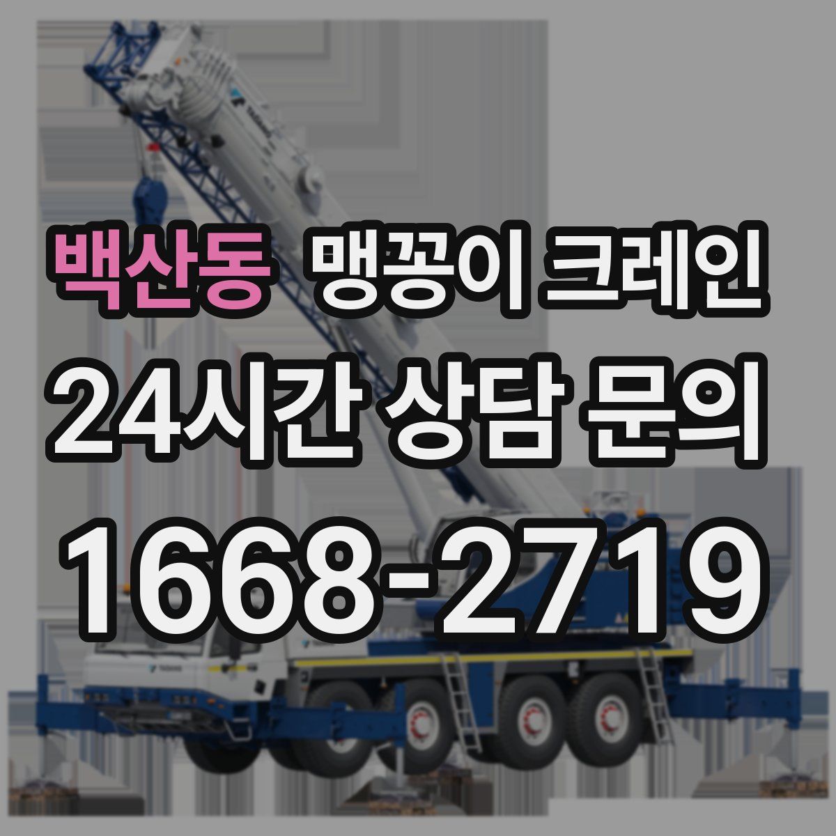 백산동 맹꽁이 크레인