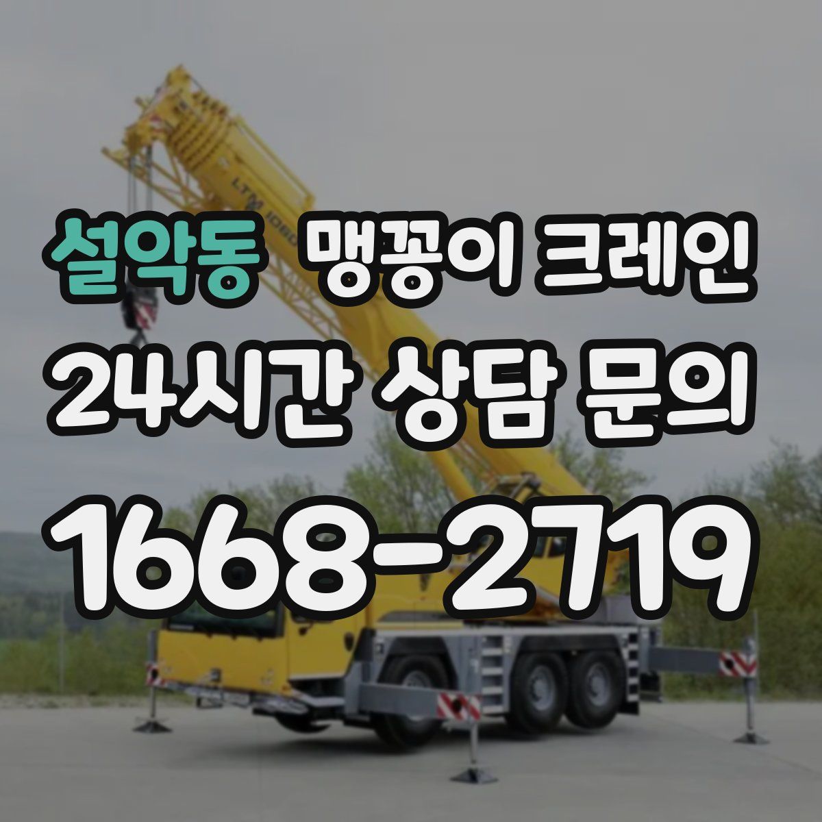 설악동 맹꽁이 크레인