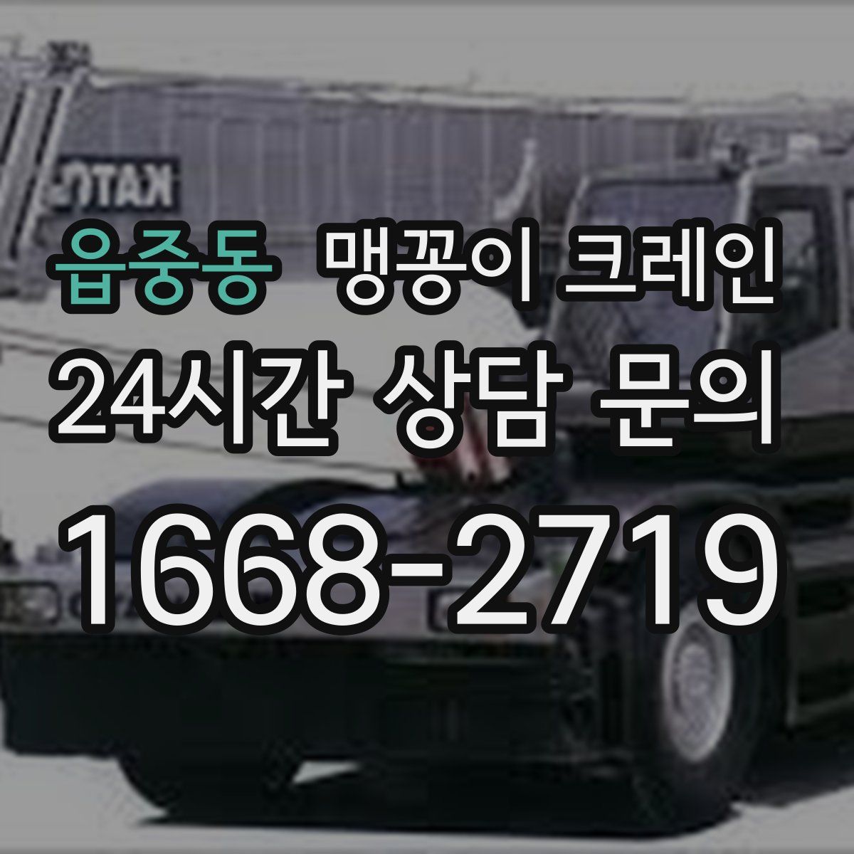 읍중동 맹꽁이 크레인