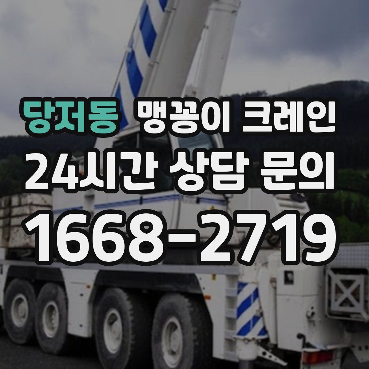 당저동 맹꽁이 크레인