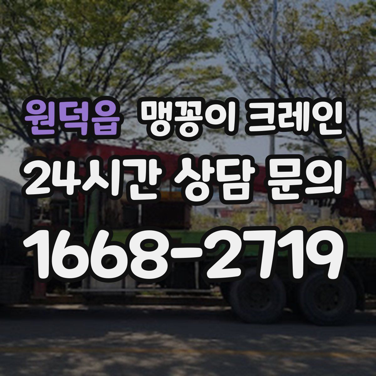원덕읍 맹꽁이 크레인