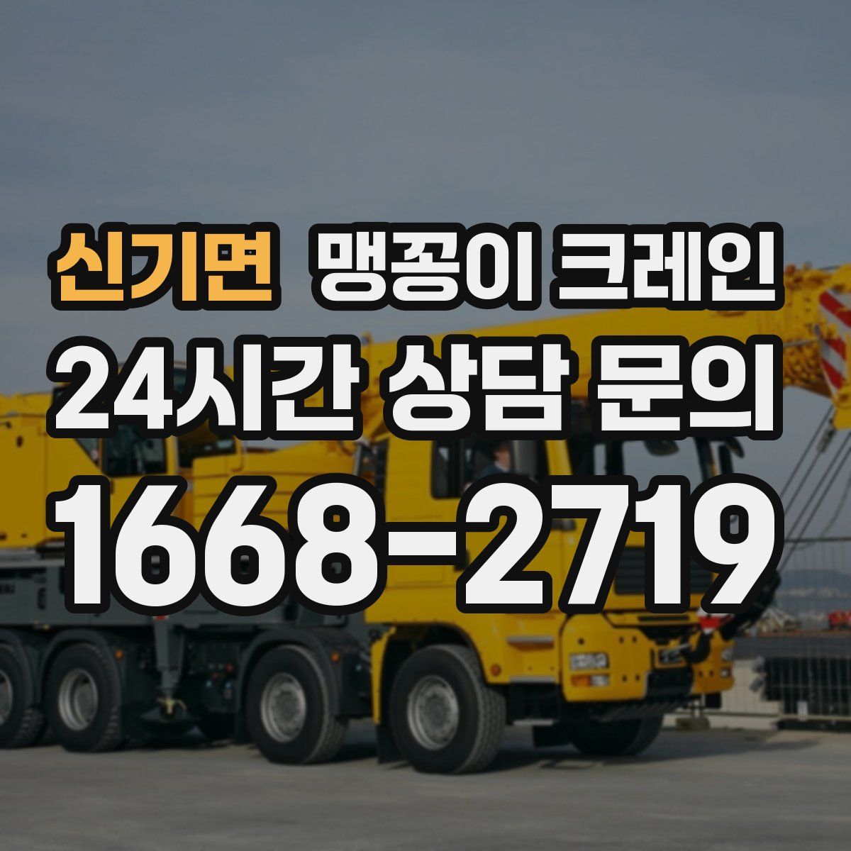 신기면 맹꽁이 크레인