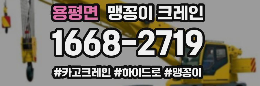 용평면 맹꽁이 크레인