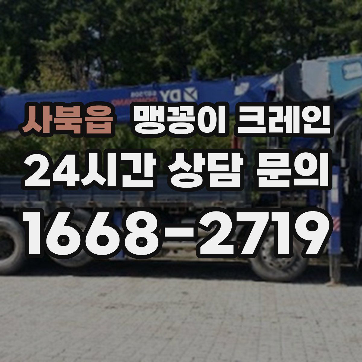 사북읍 맹꽁이 크레인