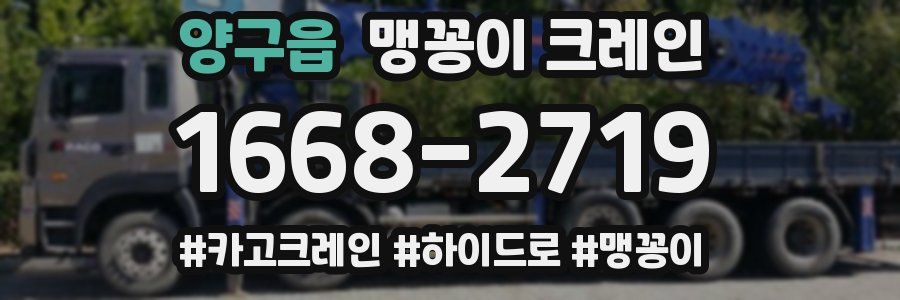양구읍 맹꽁이 크레인