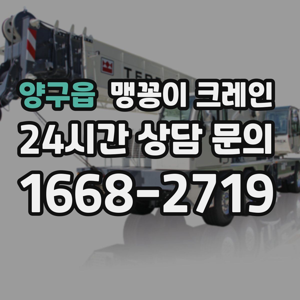 양구읍 맹꽁이 크레인