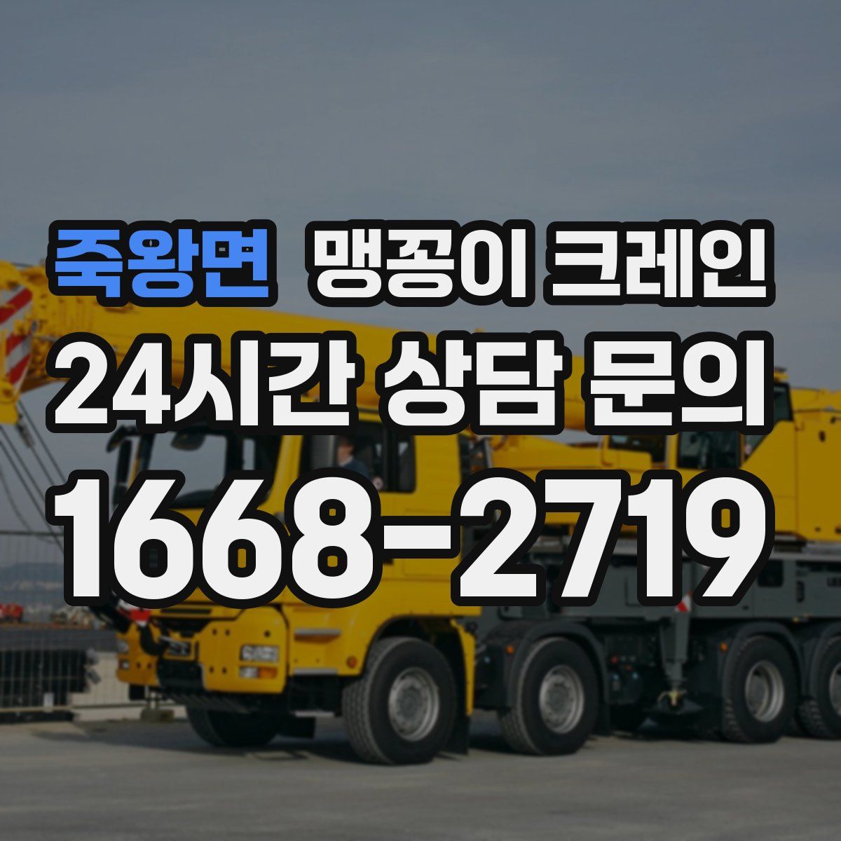 죽왕면 맹꽁이 크레인