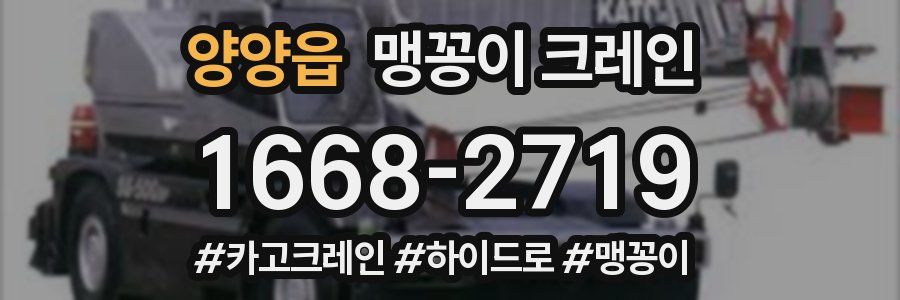 양양읍 맹꽁이 크레인