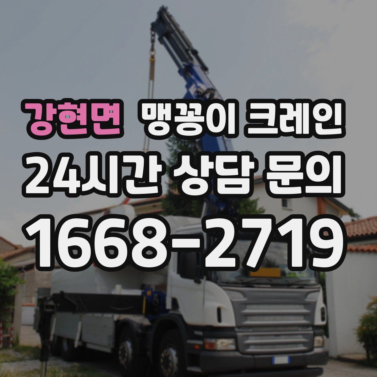 강현면 맹꽁이 크레인
