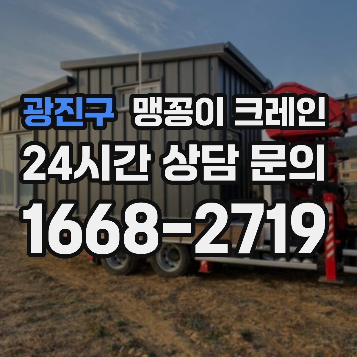광진구 맹꽁이 크레인