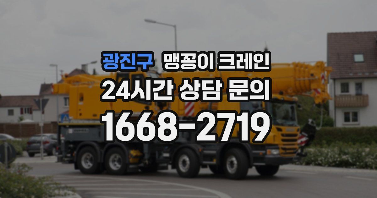 광진구 맹꽁이 크레인
