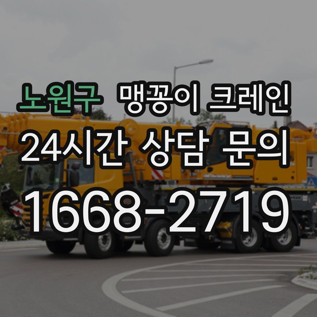 노원구 맹꽁이 크레인