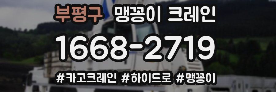 부평구 맹꽁이 크레인