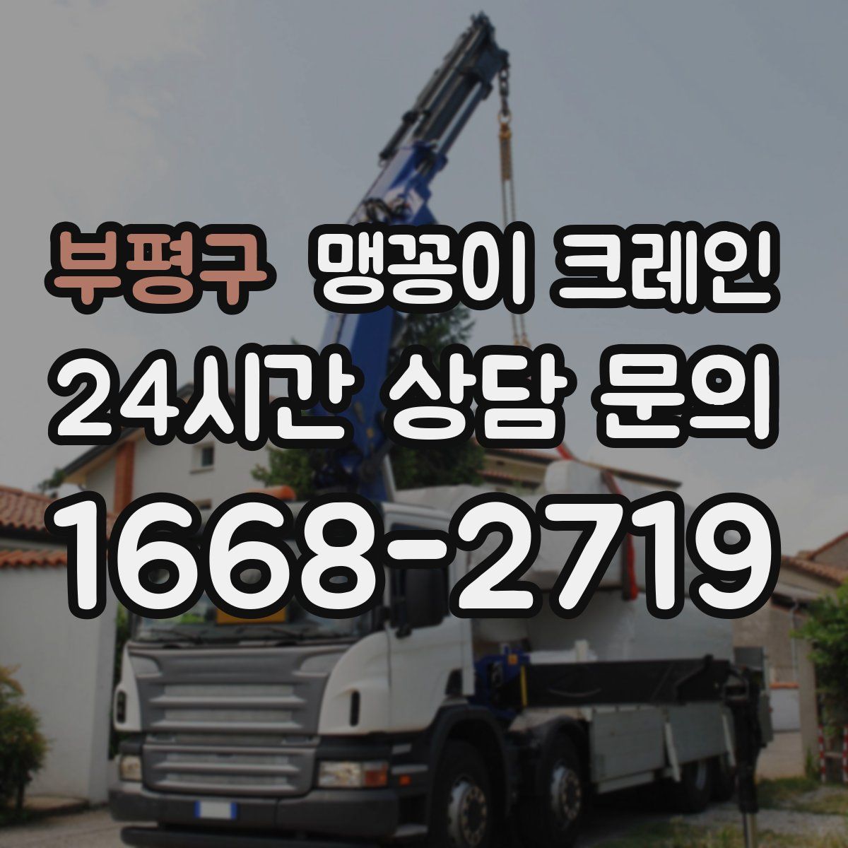 부평구 맹꽁이 크레인