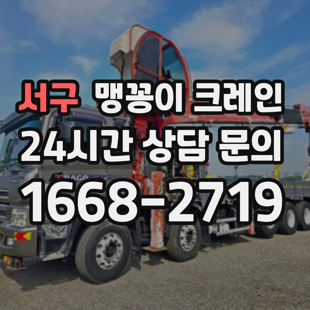 서구 맹꽁이 크레인