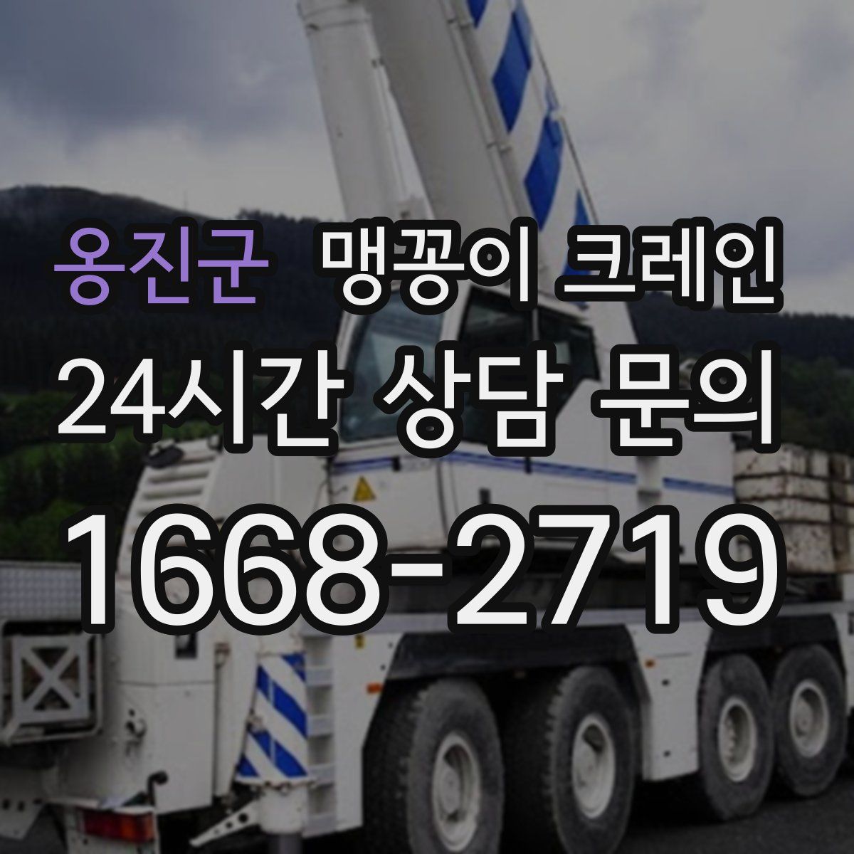 옹진군 맹꽁이 크레인