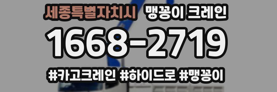 세종특별자치시 맹꽁이 크레인